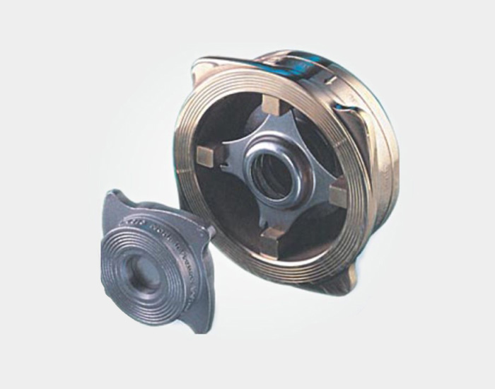 Disc Check Valve (DCV)