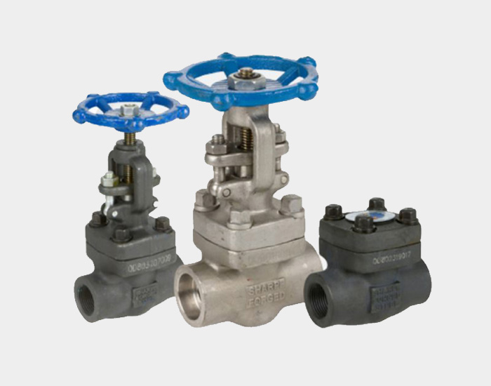 Forged Steel Globe Valve