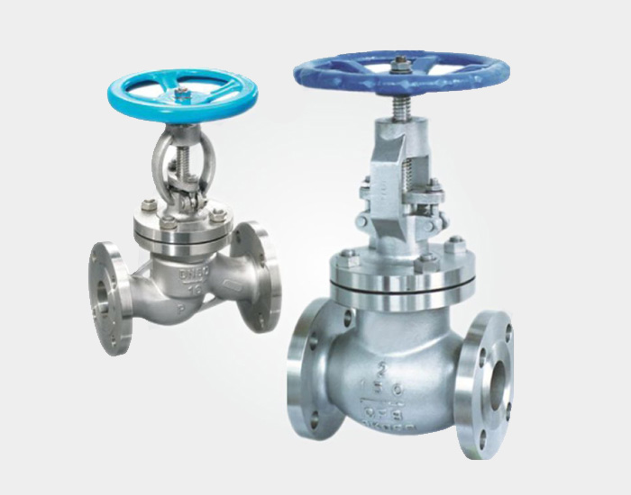 Globe Valve